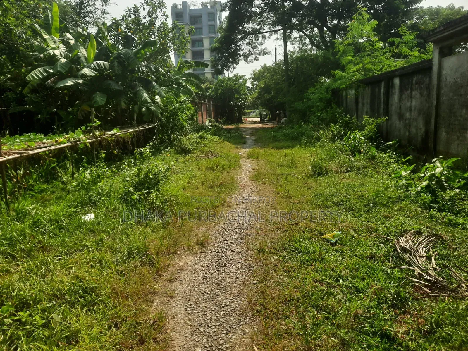 রাজউক পূর্বাচল ফরেস্ট জোন ৫ কাঠা কর্নার প্লট