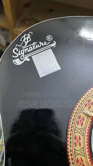 অ্যাকোস্টিক গিটার