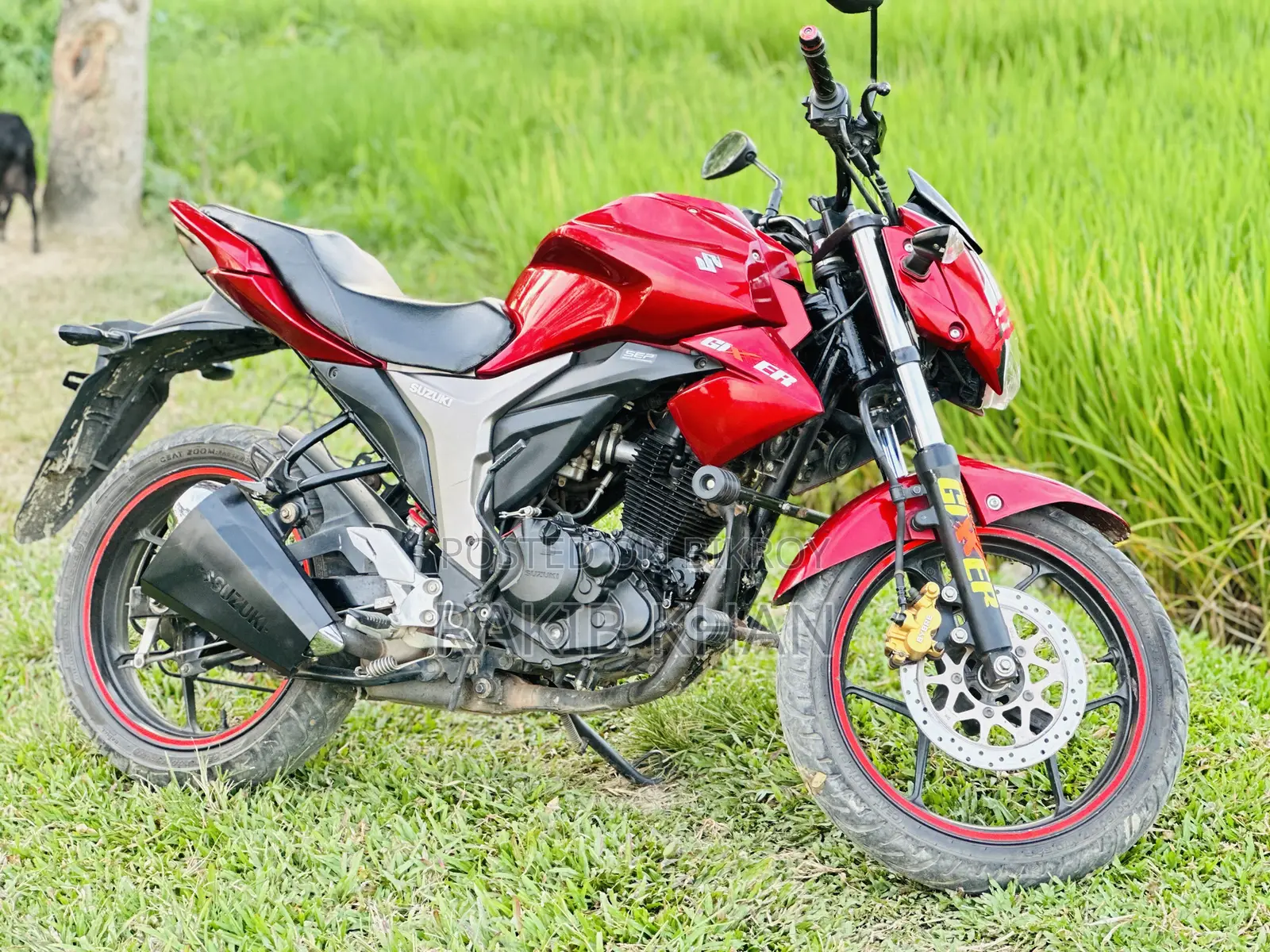 Suzuki Gixxer 2025 Red