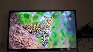 Want to Sell Sony 40 Inch TV