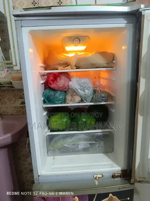 Very good fridge. I need a big fridge so I will sell it.