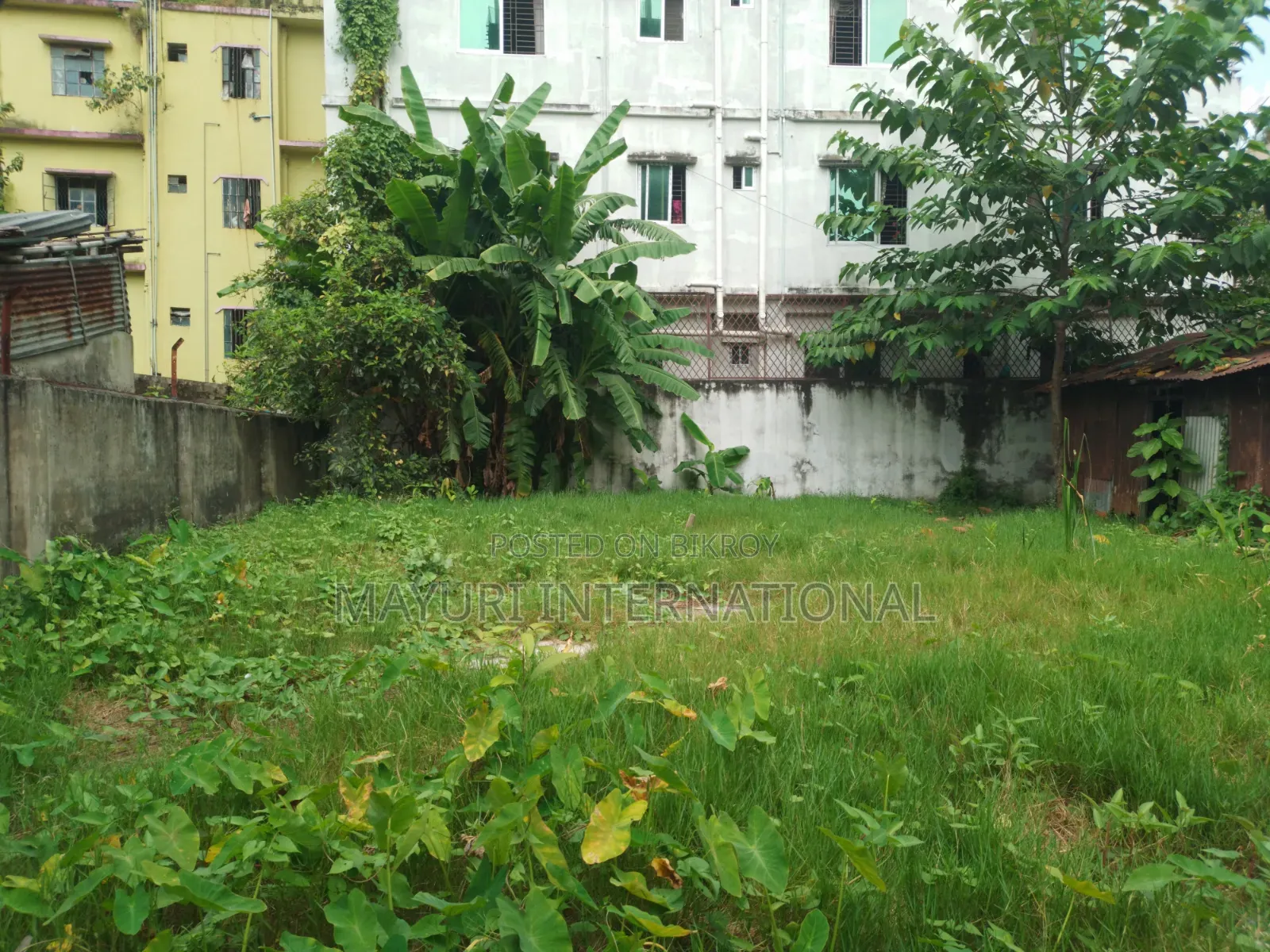 আবাসিক জমি বিক্রি (রাস্তা ৬.৫ ফুট)