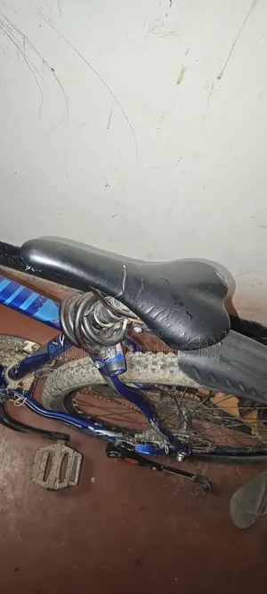 Bicycle for Sale