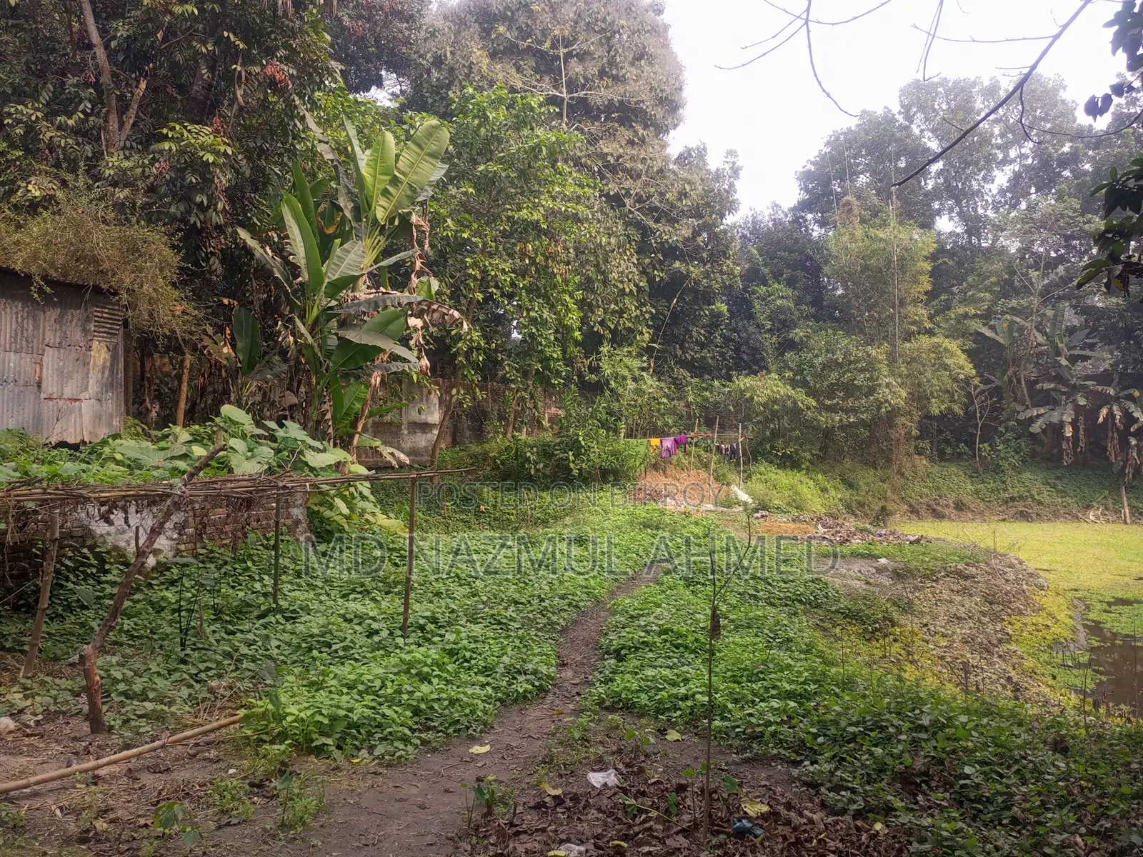 ১৬ শতাংশ জমি বিক্রি করা হবে