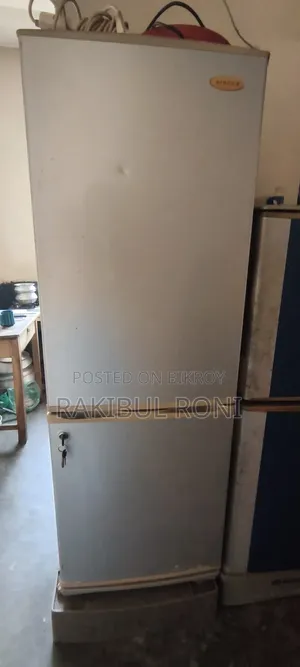 Singer Fridge