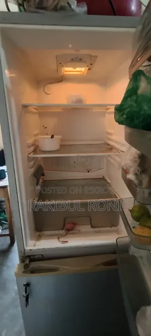 Singer Fridge