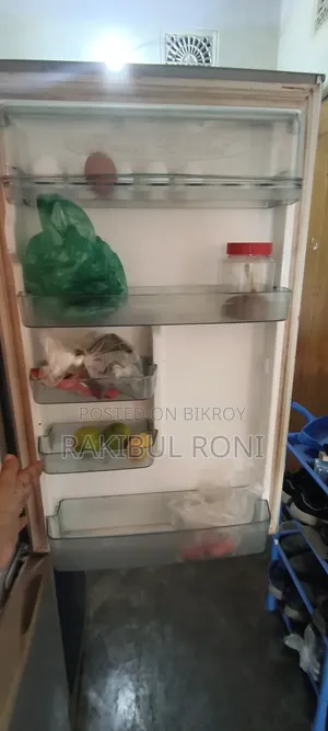 Singer Fridge