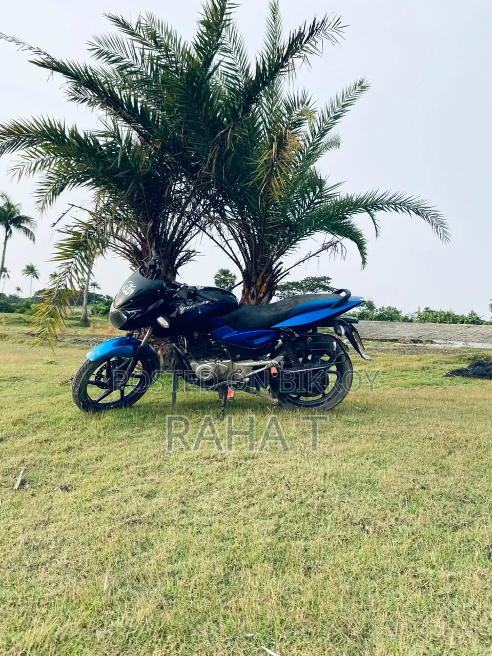 Bajaj Pulsar 150 2016 Blue