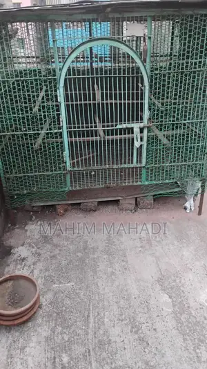 কবুতর বড় খাচা বা ধাপ্রি ৫.৫/ ৪ ফিট হাইট ৫ ফিট নাট সিস্টেম