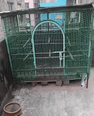 কবুতর বড় খাচা বা ধাপ্রি ৫.৫/ ৪ ফিট হাইট ৫ ফিট নাট সিস্টেম