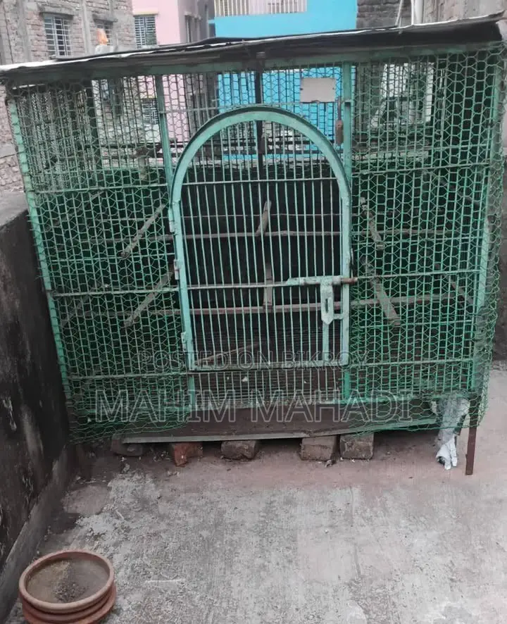 কবুতর বড় খাচা বা ধাপ্রি ৫.৫/ ৪ ফিট হাইট ৫ ফিট নাট সিস্টেম