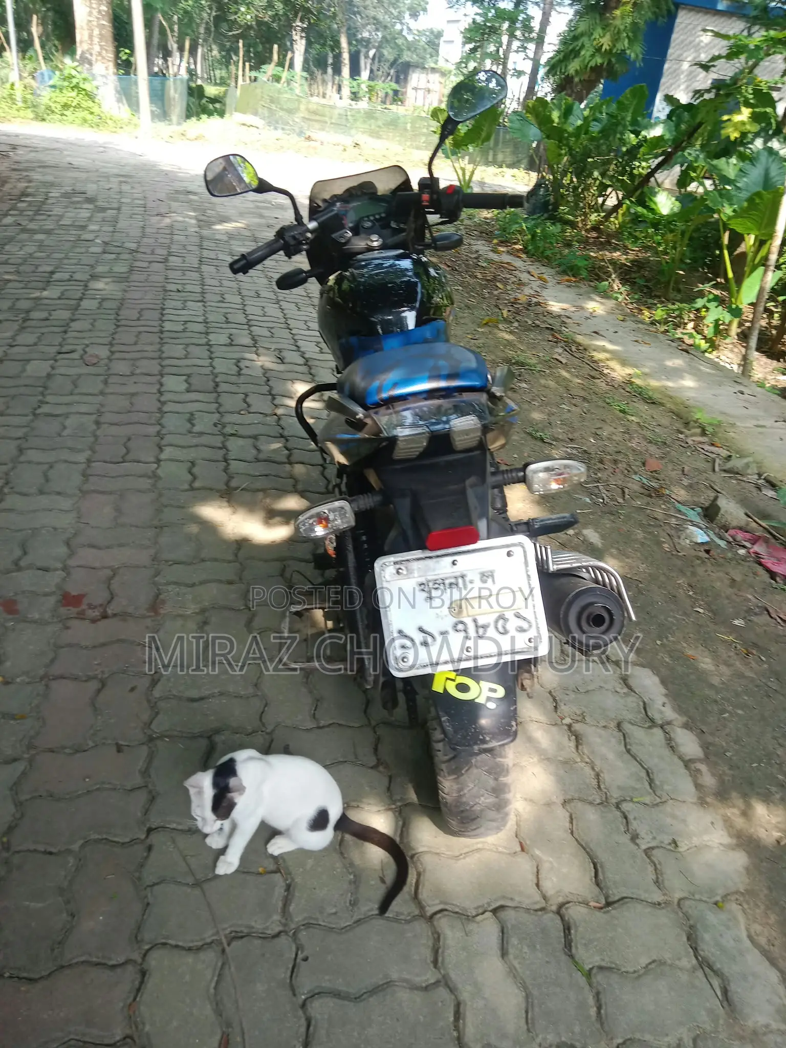 Bajaj Pulsar 150 2019 Blue