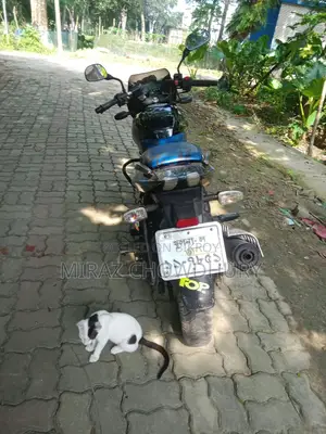 Bajaj Pulsar 150 2019 Blue