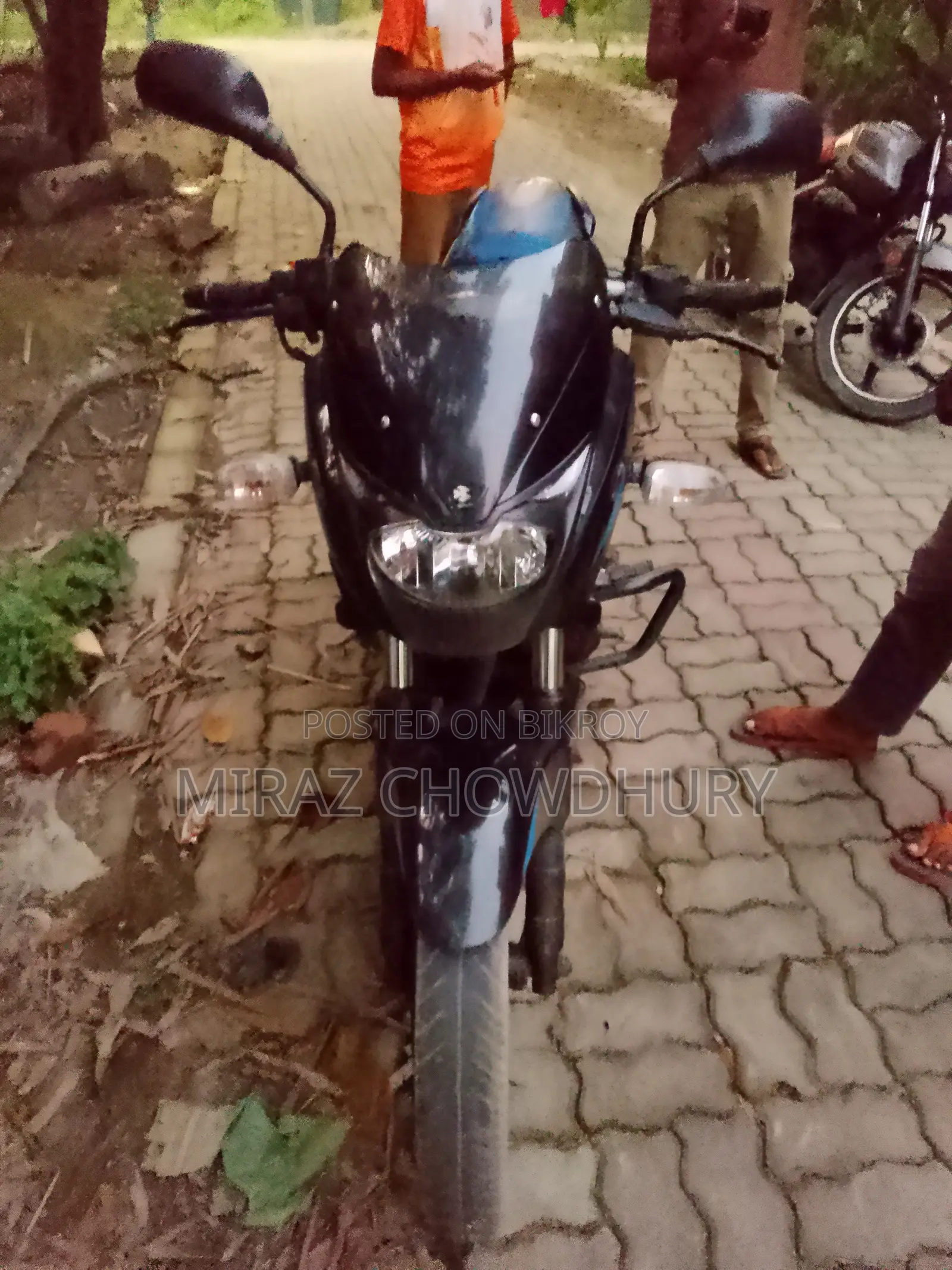 Bajaj Pulsar 150 2019 Blue