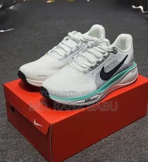 Nike Air Zoom Pegasus 41 (NK001) Shoes