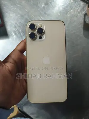 Apple iPhone 12 Pro Max 256 GB Gold