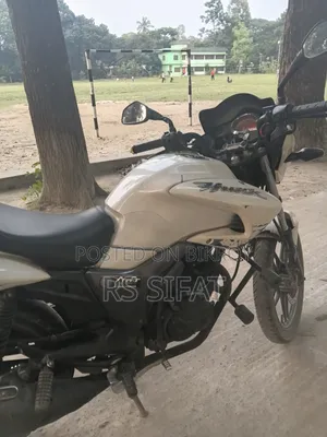 হিরো হাঙ্ক ২০১৬ সাদা