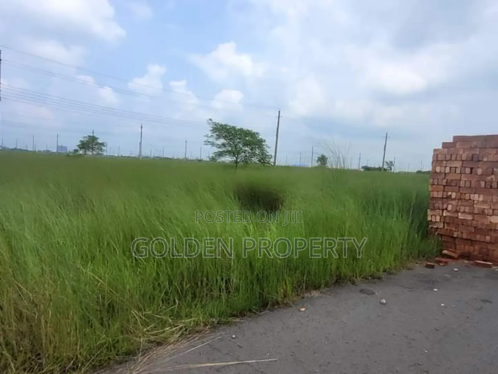 5 Katha Plot Sale N Block Bashundhara Residential Property