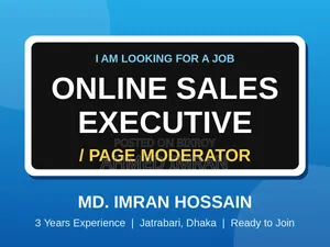 Online Sales Executive / Page Moderator