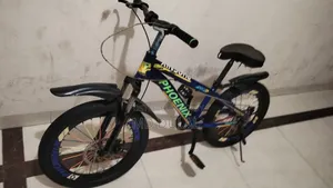 I will sell a bicycle