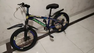 I will sell a bicycle