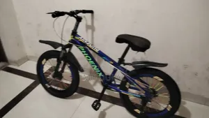 I will sell a bicycle