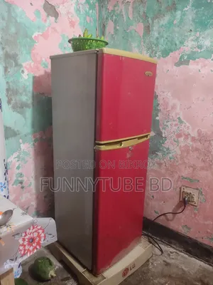 A Singer Refrigerator