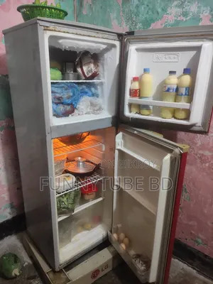 A Singer Refrigerator