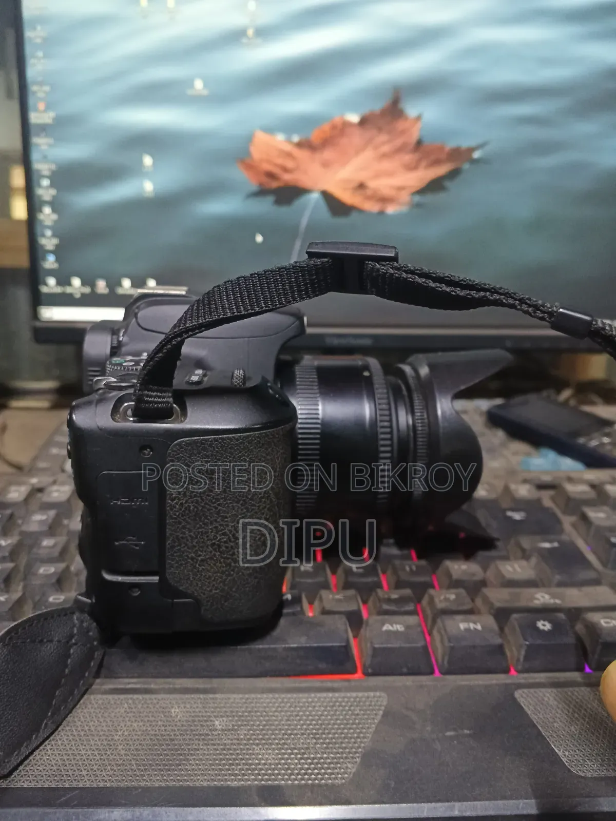 Canon 200D & 50mm Prime Lens