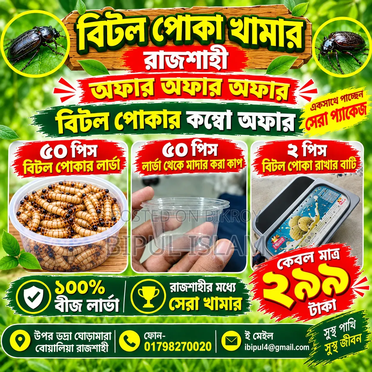 Beetle Bug Larvae