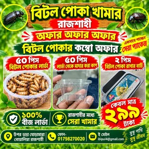 Beetle Bug Larvae