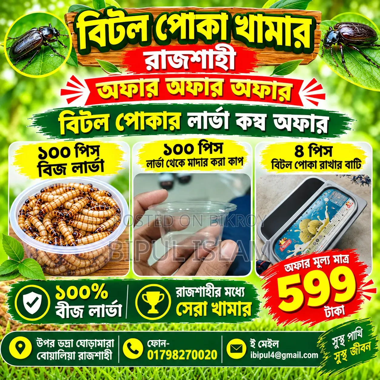 Beetle Bug Larvae