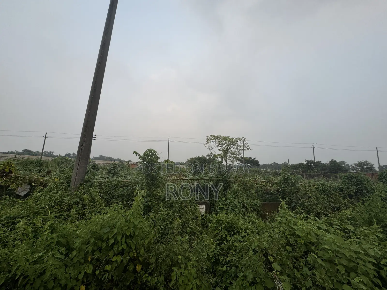 রাজউক পূর্বাচলে প্লট বিক্রি হবে