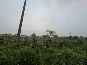 রাজউক পূর্বাচলে প্লট বিক্রি হবে