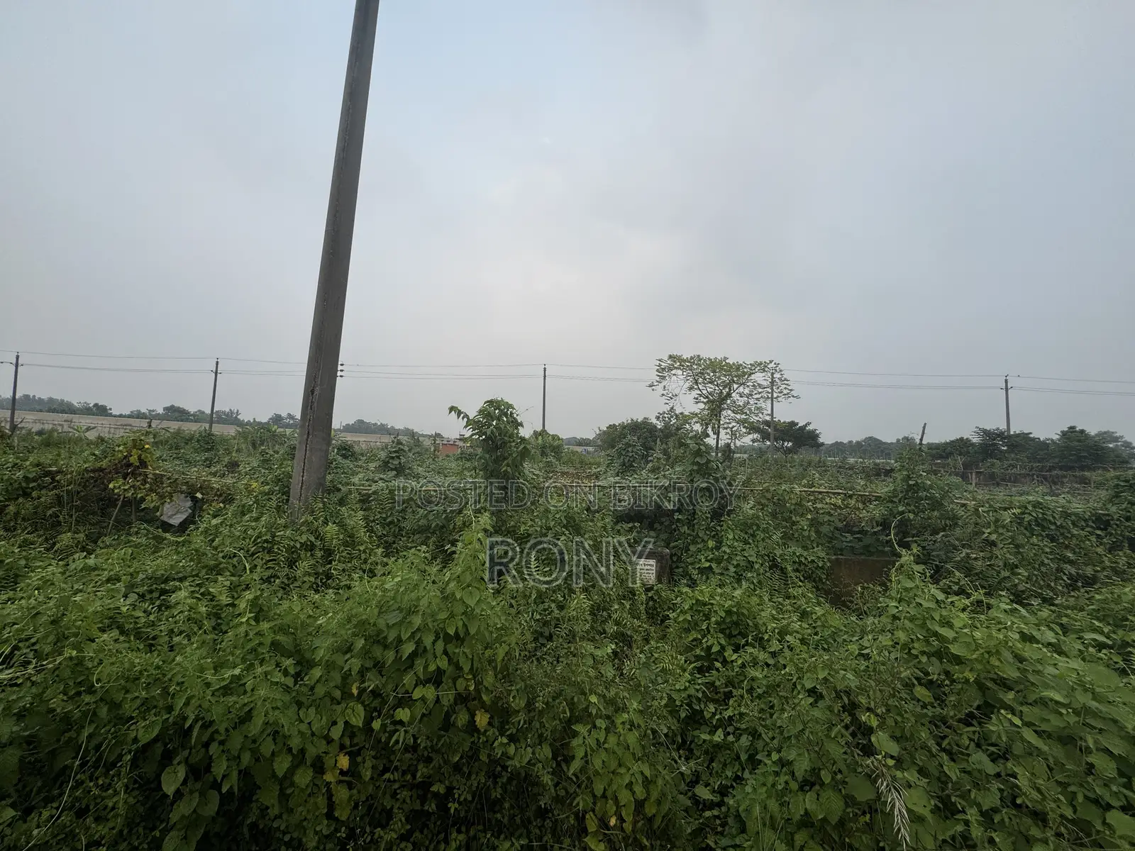 রাজউক পূর্বাচলে প্লট বিক্রি হবে