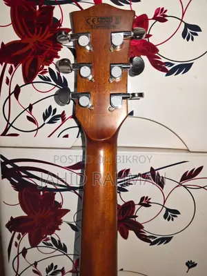 Sqoe Sq Dc Sk Guiter