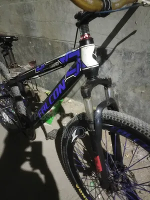 Non-Gear Bicycle