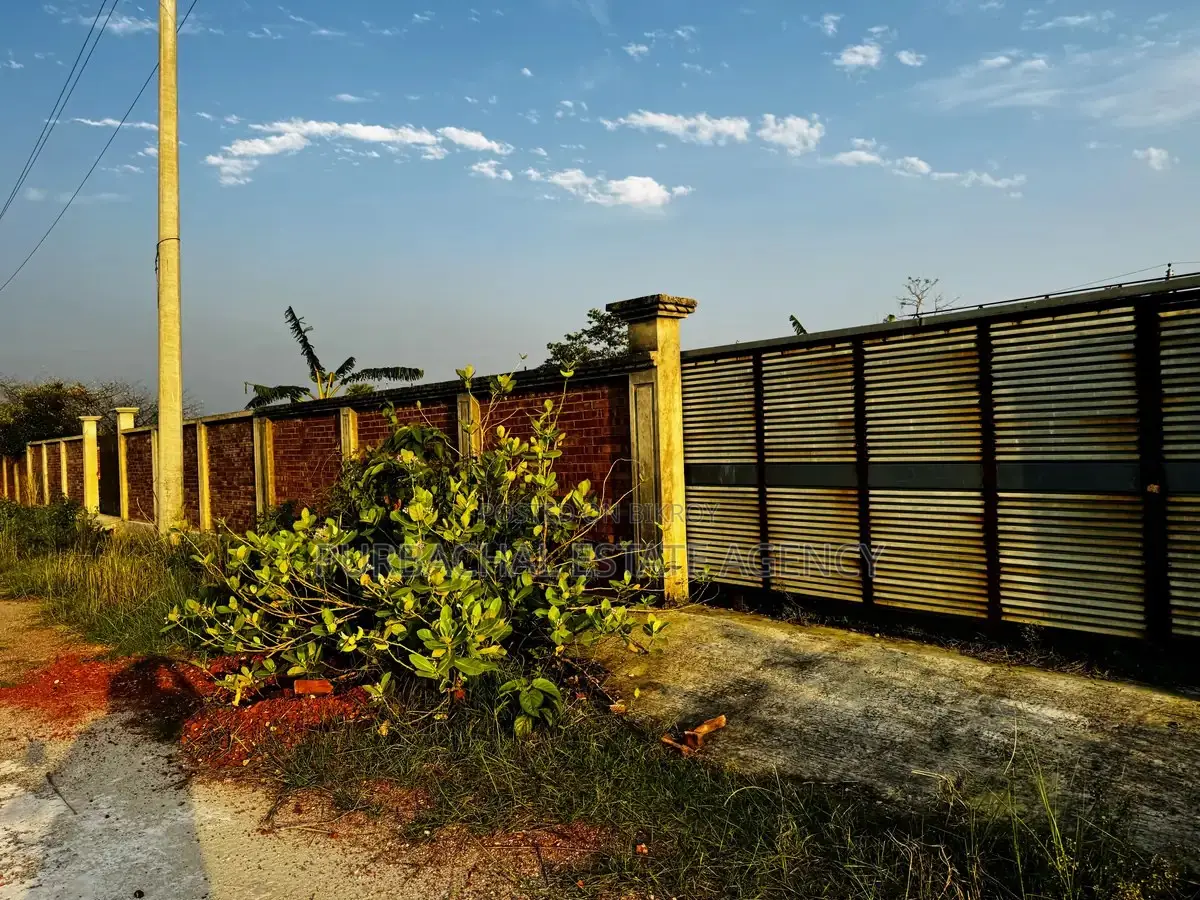 Budget-Friendly 3 Katha Plot, RAJUK Purbachal Sector 29