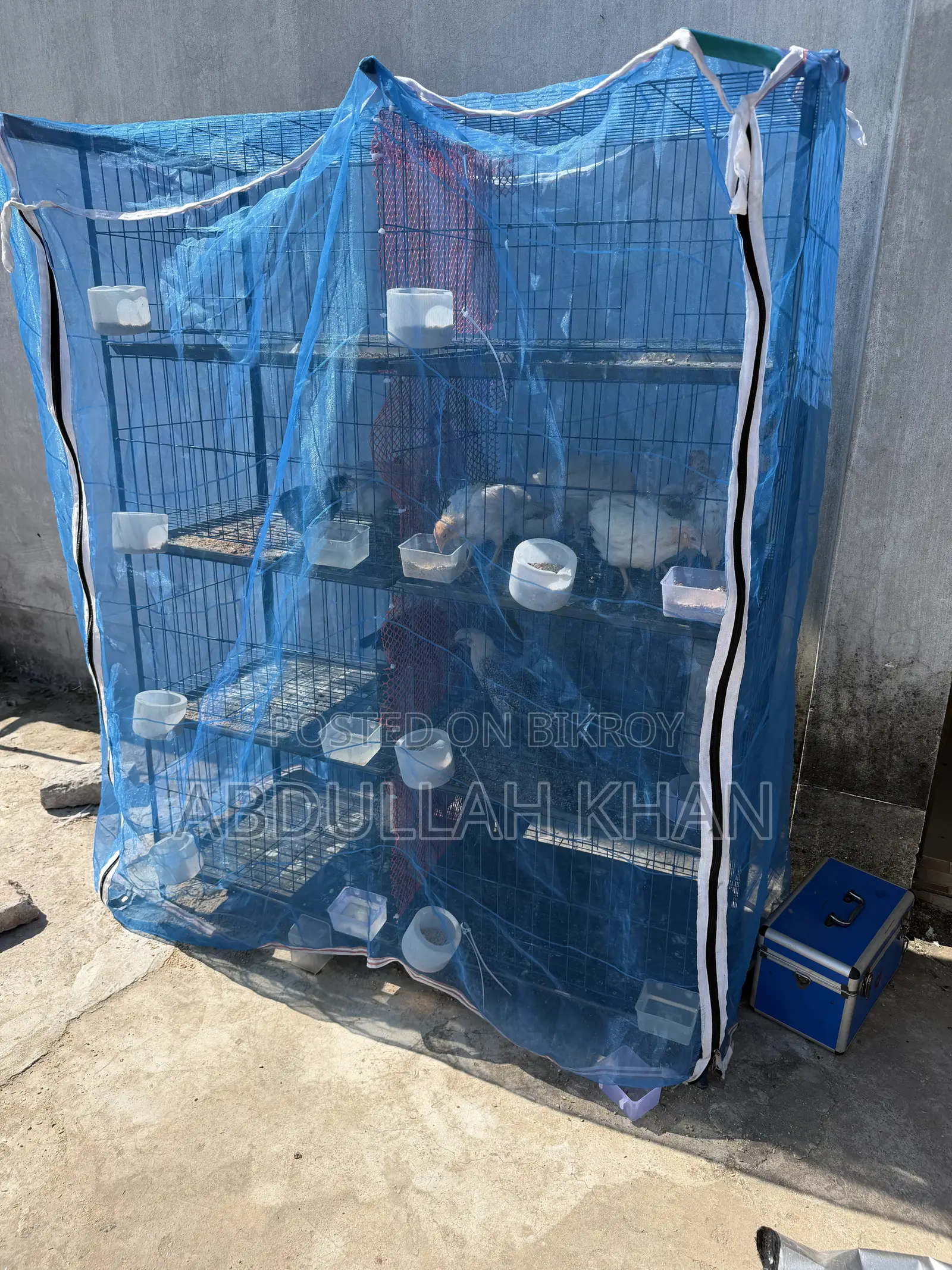 কবুতর এবং মুরগির খাঁচা