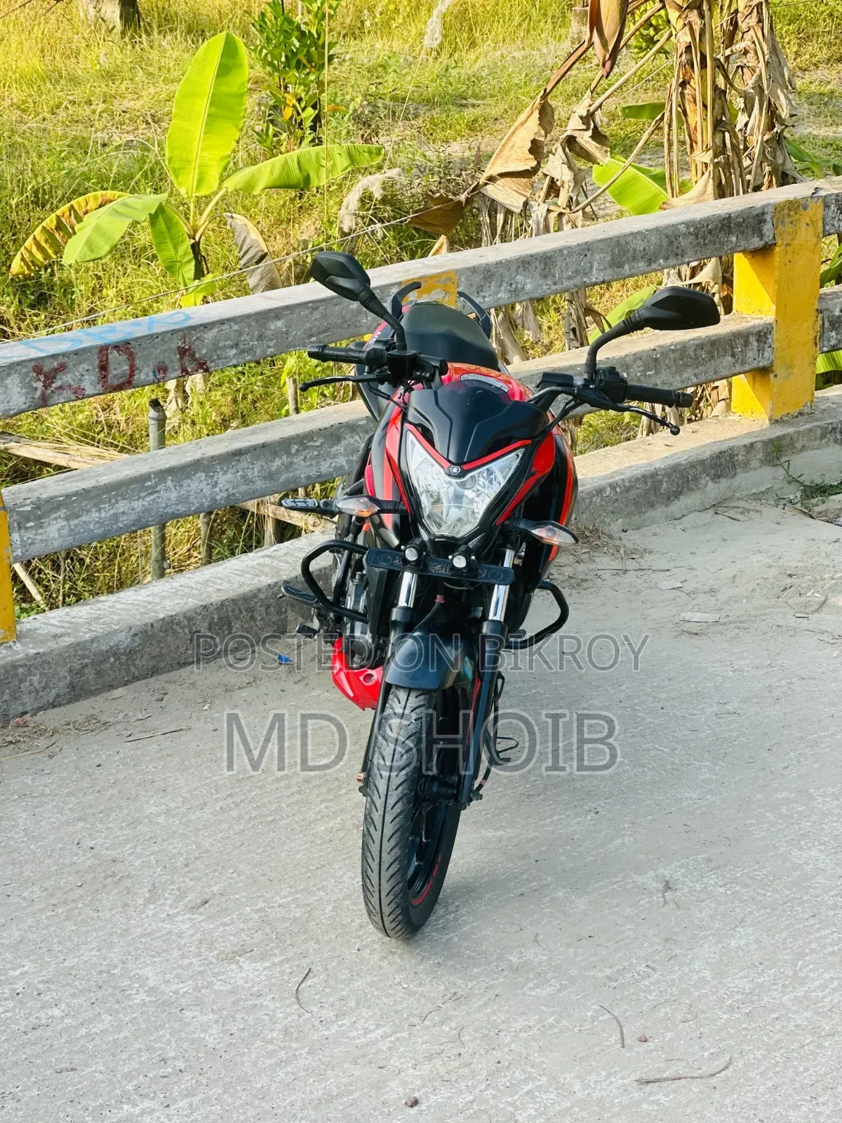 Bajaj Pulsar NS 160 2018 Red