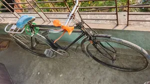 Phoenix Bangla Bicycle, running, no problems, you can ride it away