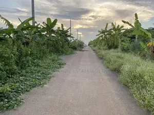 রাজউক পূর্বাচল সেক্টর ১৫: ৭৫ ফিট রাস্তার কাছে ৩ কাঠা জমি