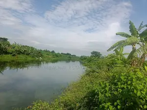 3 Katha Plot Near 100 Ft Road & Lake, Purbachal Sector 18