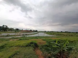 খেলার মাঠ ও হ্রদের কাছে: ৫ কাঠা দক্ষিণমুখী প্লট, পূর্বাচল সেক্টর ২১