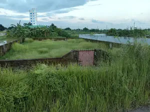 ১০০ ফিট রাস্তা ও লেকের কাছে: ৩ কাটা প্লট, পূর্বাচল সেক্টর ২৩