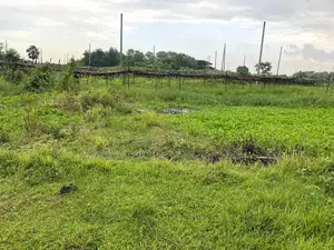 লেকের কাছে ৩ কাটা প্লট - পূর্বাচল সেক্টর ২৩