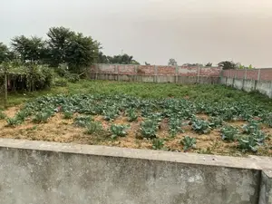 লেক ও পার্কের কাছে ১০ কাটা প্লট, পূর্বাচল সেক্টর ২৪