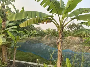 লেক ও পার্কের কাছে ১০ কাটা প্লট, পূর্বাচল সেক্টর ২৪