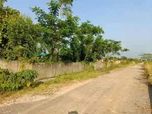 রাজউক পূর্বাচল সেক্টর ২৫: ১০০ ফুট রাস্তার কাছে দক্ষিণমুখী ৩ কাঠার প্লট
