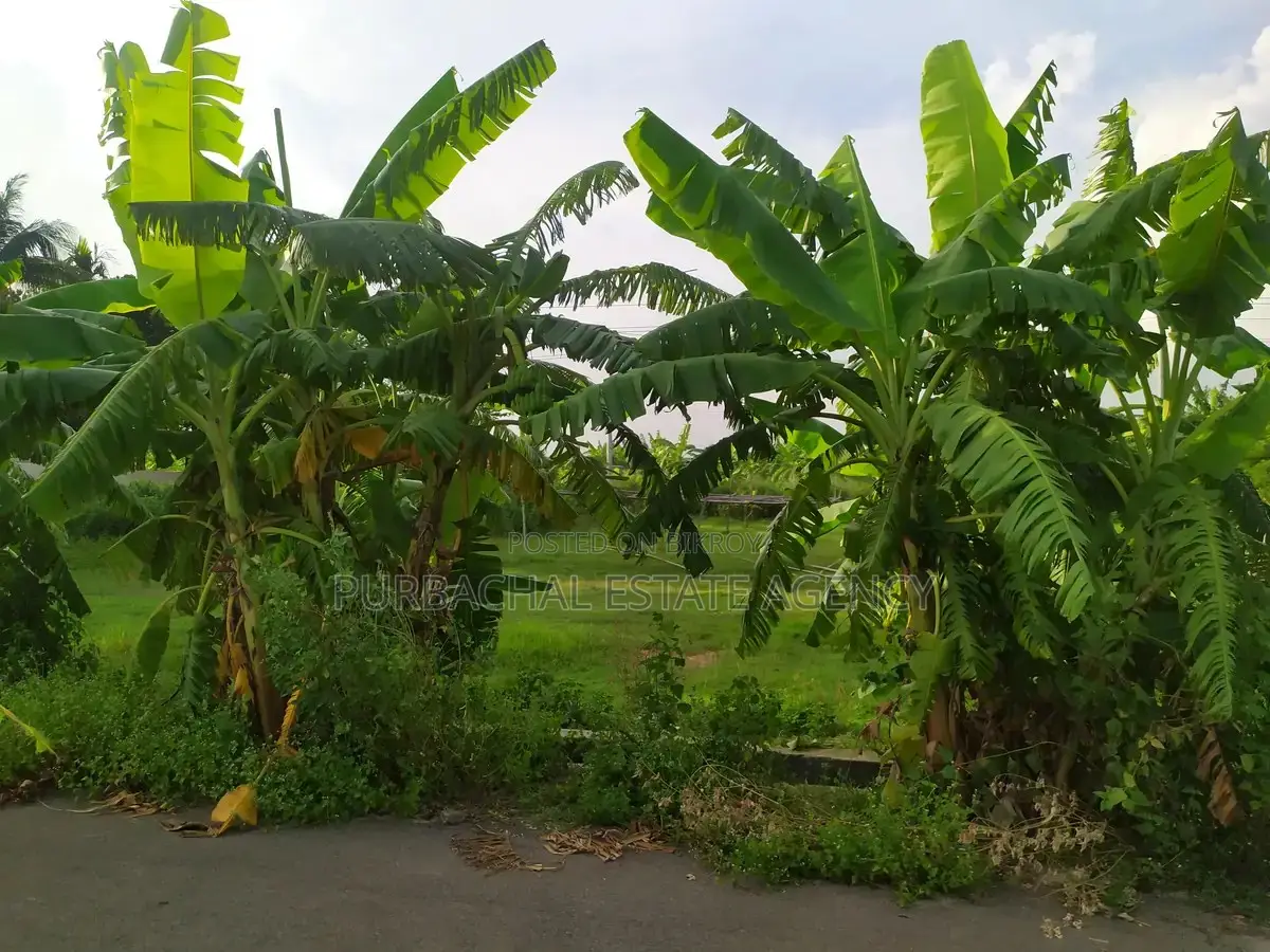 3 Katha Plot Near 150 Ft Road, Purbachal Sector 28